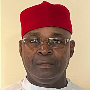 Sylvester Okwunodu Ogbechie